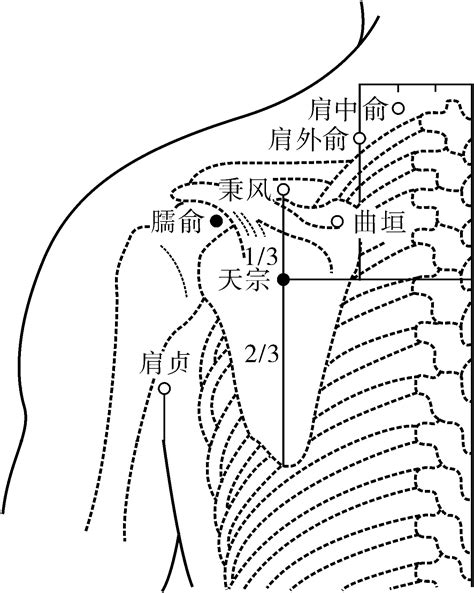 窗戶 高度 秉風穴